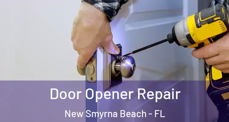Door Opener Repair New Smyrna Beach - FL