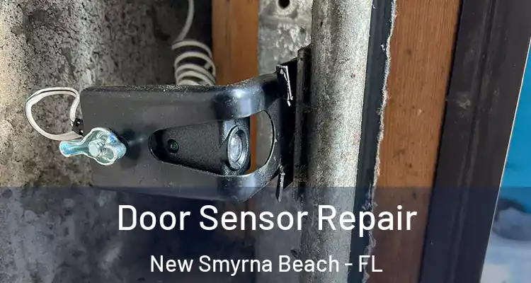 Door Sensor Repair New Smyrna Beach - FL